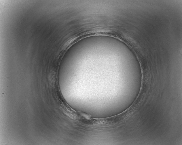 X0000062901169200601271706