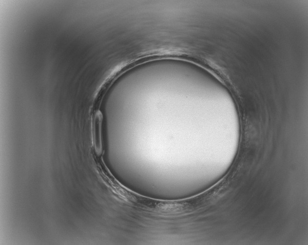 X0000062901171200601271706