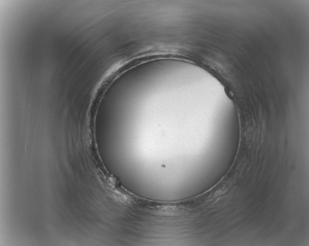 X0000062901172200601271706