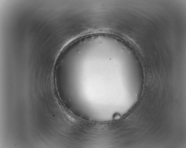 X0000062901174200601271706