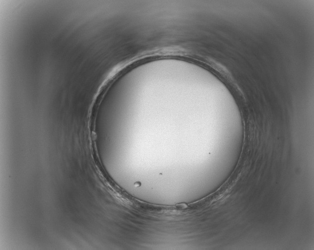 X0000062901176200601271706