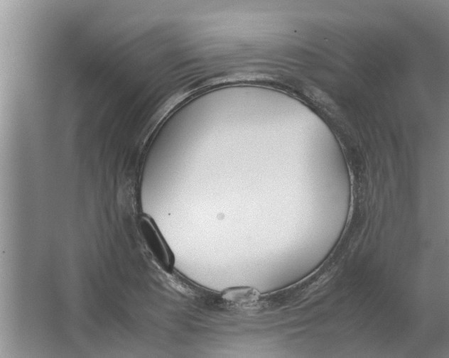 X0000062901177200601271706