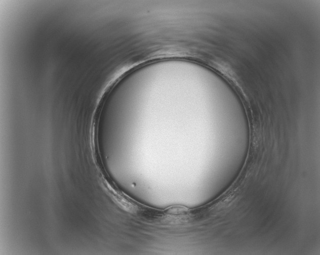 X0000062901179200601271706