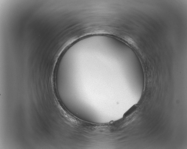 X0000062901181200601271706