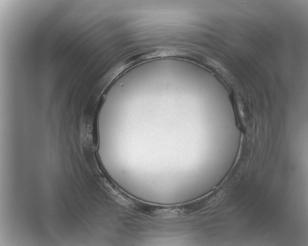 X0000062901185200601271706