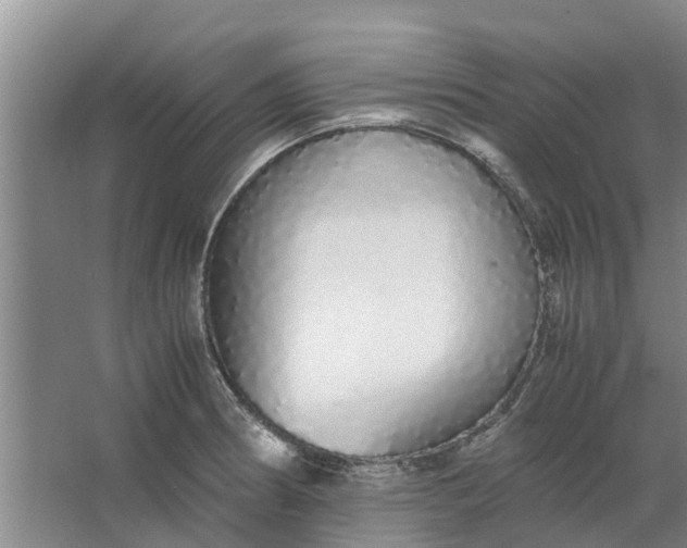 X0000062901186200601271705