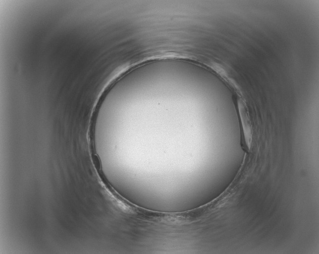 X0000062901189200601271705