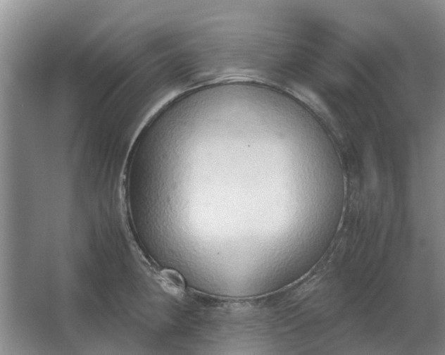 X0000062901190200601271705