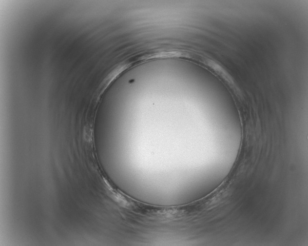 X0000062901193200601271705