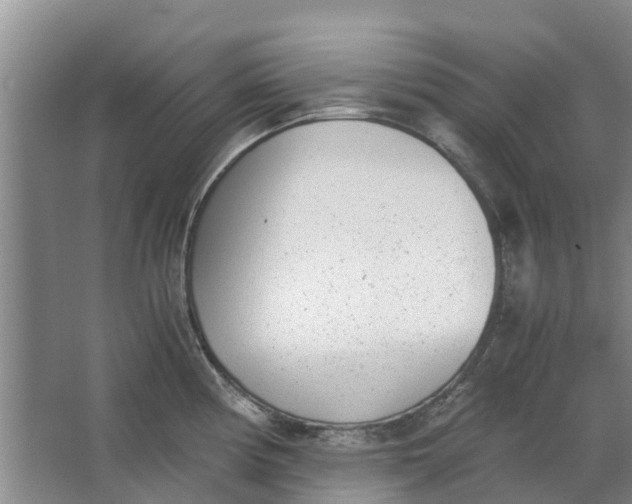 X0000062901194200601271705