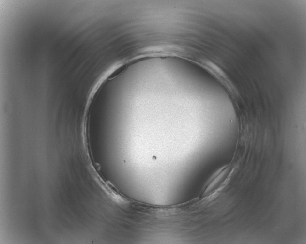 X0000062901196200601271705