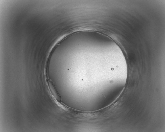 X0000062901197200601271705