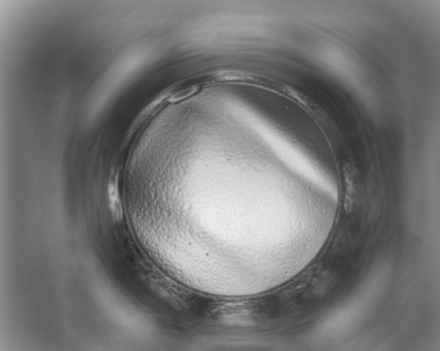 X0000062901198200601271705