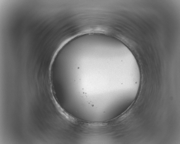 X0000062901200200601271705