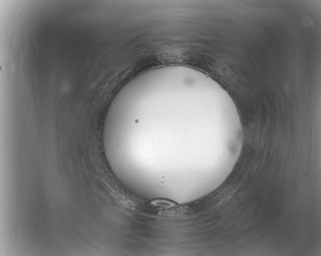 X0000062901201200601271704