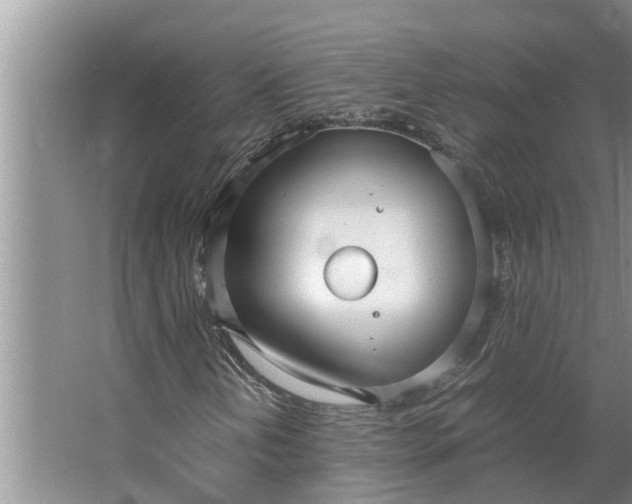 X0000062901202200601271704