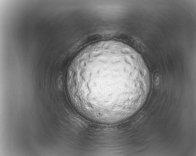 X0000062901204200601271704