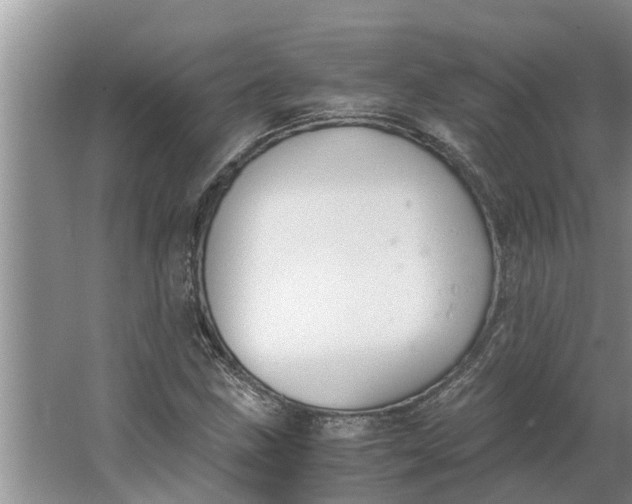 X0000062901211200601271705