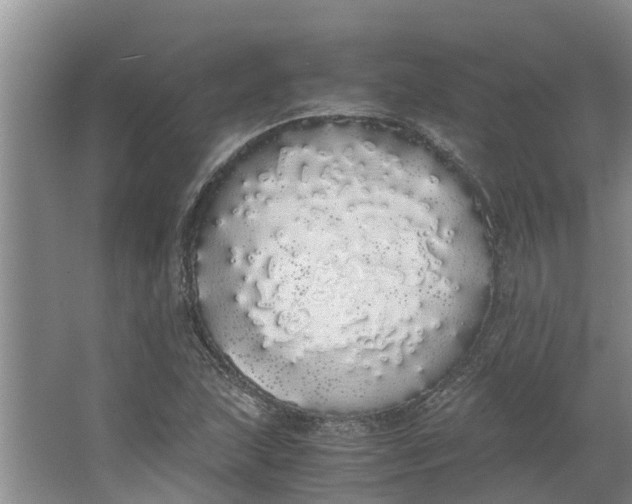 X0000062901215200601271705