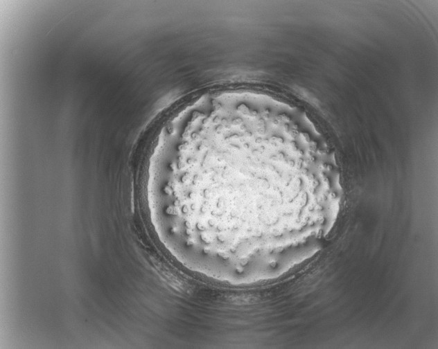 X0000062901219200601271705