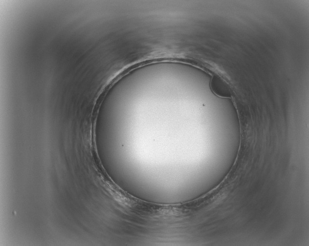 X0000062901220200601271705