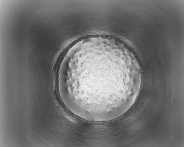 X0000062901223200601271705