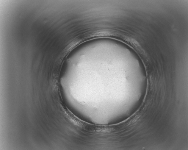 X0000062901225200601271705