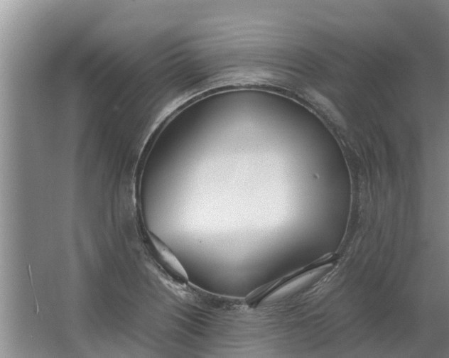 X0000062901226200601271705