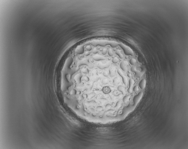 X0000062901227200601271705