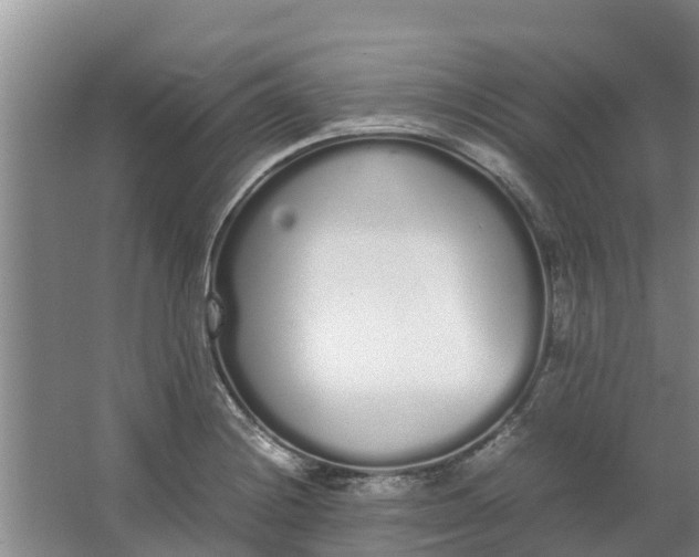 X0000062901228200601271705