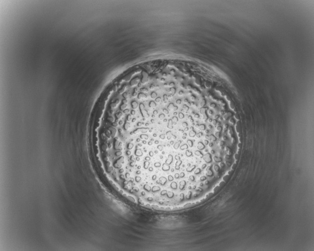 X0000062901231200601271705