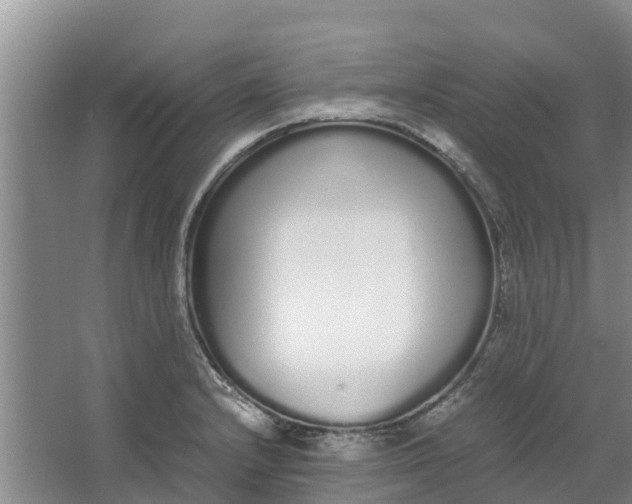 X0000062901232200601271705