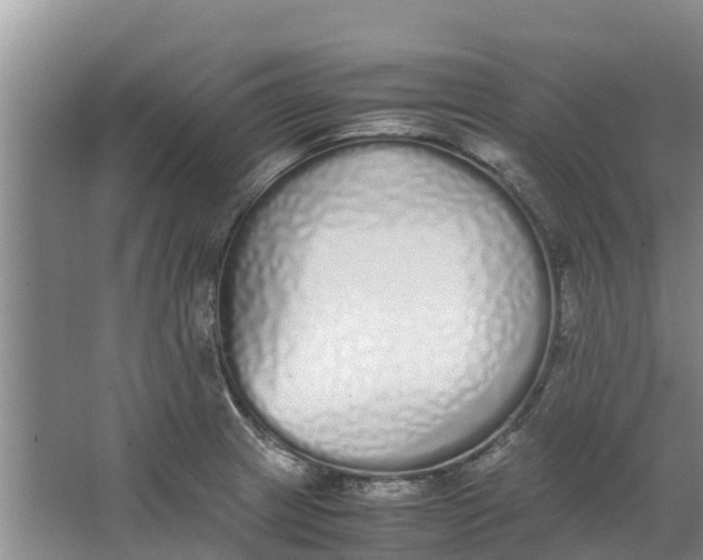 X0000062901233200601271705