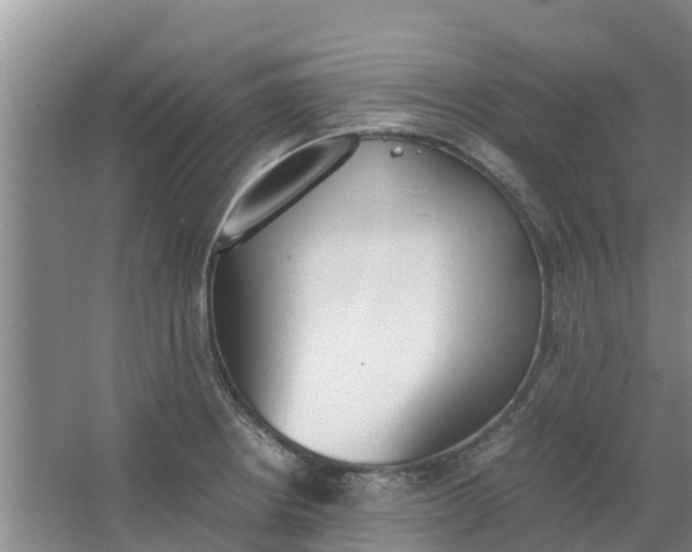 X0000062901234200601271705