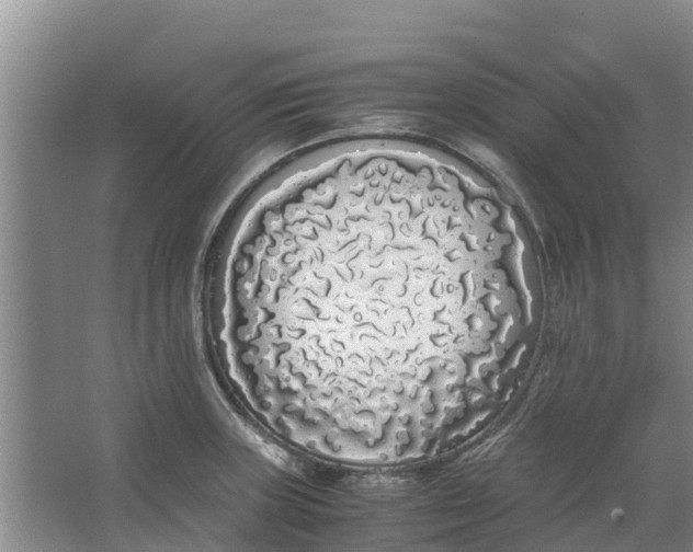 X0000062901235200601271705