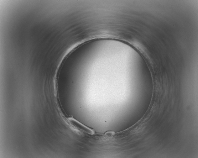 X0000062901238200601271705