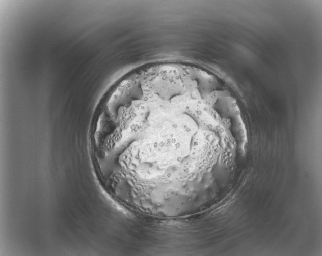 X0000062901239200601271705