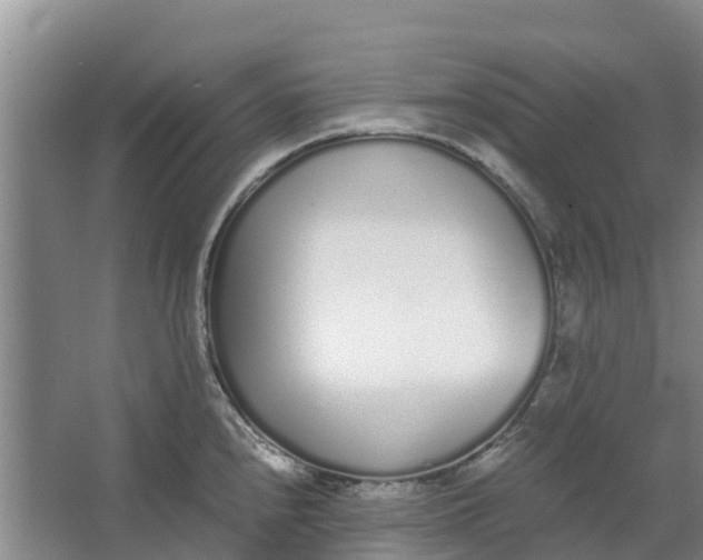 X0000062901240200601271705