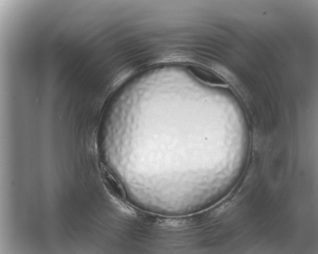 X0000062901241200601271705