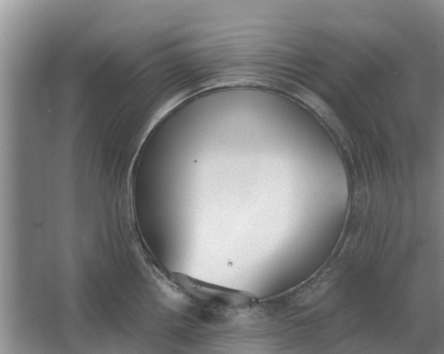 X0000062901242200601271705