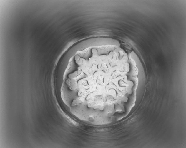 X0000062901243200601271705