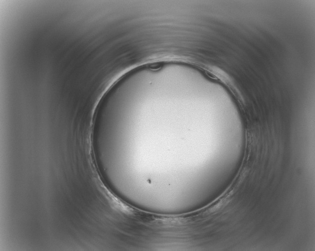 X0000062901244200601271705