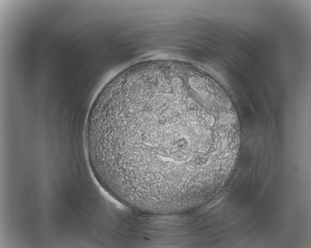 X0000062901247200601271705