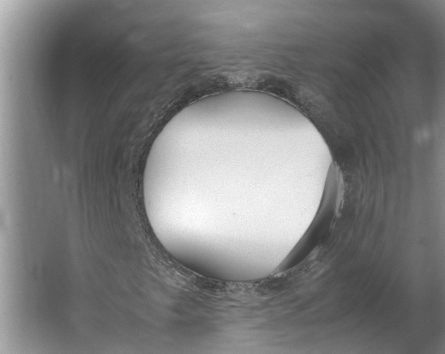 X0000062901249200601271704