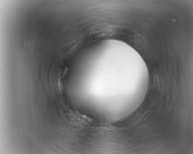 X0000062901250200601271704