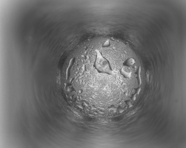 X0000062901251200601271704