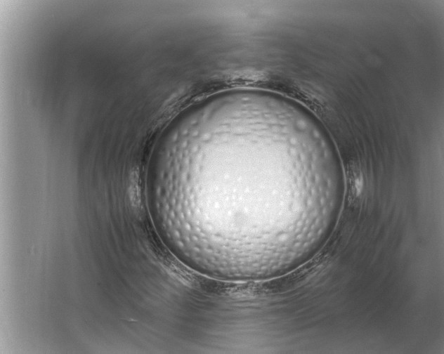 X0000062901252200601271704