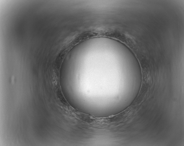 X0000062901253200601271704