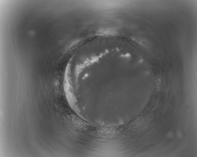 X0000062901254200601271704