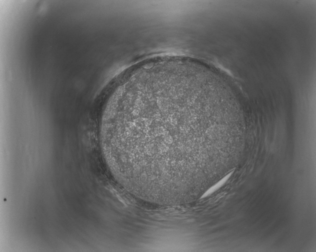 X0000062901255200601271704